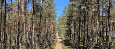 Wejherowo, rondo Mirona Łukowicza ↔ Wielka Piaśnica
