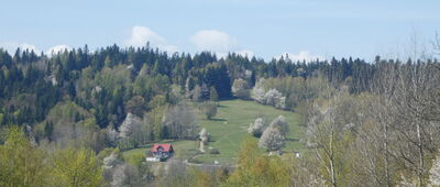 Maków Podhalański ↔ Carchla [Widok na Drwalówkę]