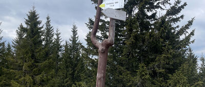 Hala Miziowa, skrzyżowanie szlaków