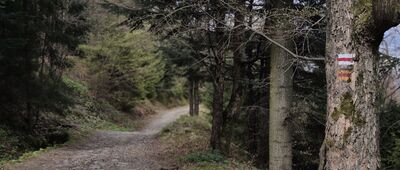 Przełęcz Łysa, rozejście szlaków ↔ Pod Sokołówką