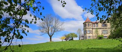 Rozejście szlaków ↔ Rozejście szlaków