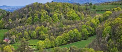 Rozejście szlaków ↔ Nad Przełęczą pod Tułem