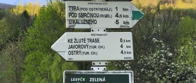 Tyra, pila ↔ Tyra, rozc. [Pierwszy grzybek]
