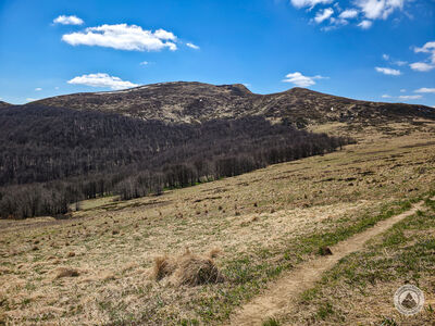 Tarnica z czerwonego szlaku pod Krzemieniem