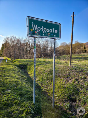 Wołosate
