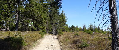 Wierch Wisełka