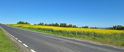 Rybna, ul. Źródlana ↔ Skałka, Rezerwat Zimny Dół [Między Czułowem a Sanką]