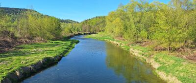 Ostra Góra pn. ↔ Witowice Górne [Łososina w Witowicach Górnych]