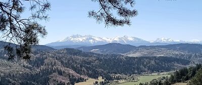 Rozejście szlaków ↔ Przełęcz pod Tokarnią