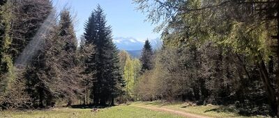 Vápenník, rázc. ↔ Pod Płaśnią
