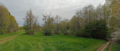 Pod Puszem