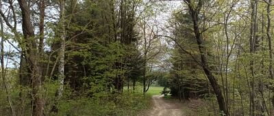 Rozejście szlaków