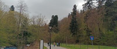 Rymanów-Zdrój, ul. Leśna