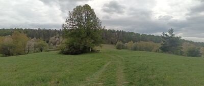 Wołtuszowa ↔ Nad Wołtuszową