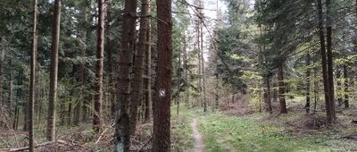 Nad Wołtuszową ↔ Kapliczka kurierska
