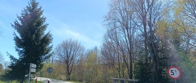 Wola Niżna