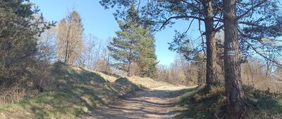 Jasiołka