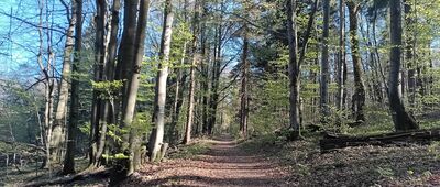 Pole namiotowe Jasiel ↔ Pod Kanasiówką