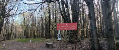 Pod Kanasiówką