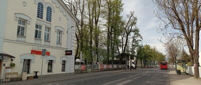 Żywiec, Browar