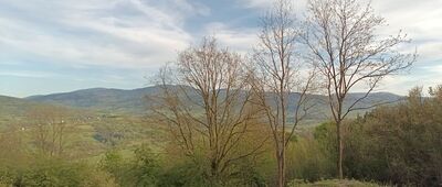 Grojec