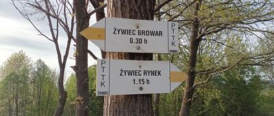 Grojec