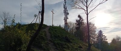 Grojec