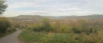 Rozejście szlaków