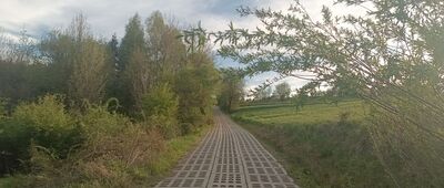 Rozejście szlaków