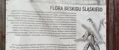 Grabowa ↔ Rozejście szlaków