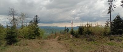 Grabowa ↔ Rozejście szlaków