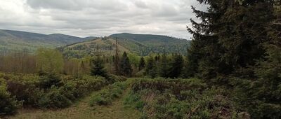 Pod Kotarzem ↔ Grabowa