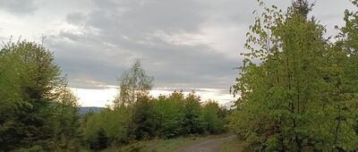 Grabowa, odejście szlaku spacerowego