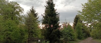 Grabowa, Ogród Bajek