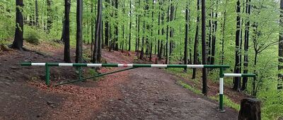 Grabowa, Ogród Bajek ↔ Grabowa