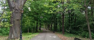 Pszczyna, Plac Dworcowy ↔ Pszczyna, Park Dworcowy