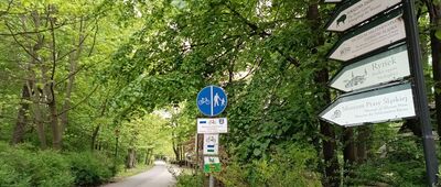 Pszczyna, Park Dworcowy