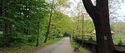 Pszczyna, Stary Młyn ↔ Pszczyna, Park Dworcowy