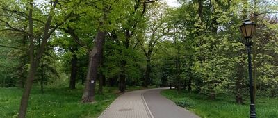 Pszczyna, ul. Katowicka ↔ Pszczyna, Stary Młyn
