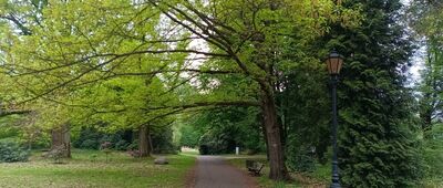 Pszczyna, Park Zamkowy