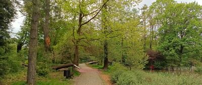 Pszczyna, Park Zamkowy