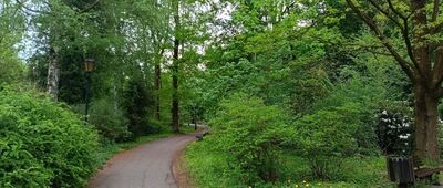 Pszczyna, Park Zamkowy