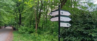 Pszczyna, Park Zamkowy