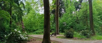 Pszczyna, Park Zamkowy ↔ Pszczyna, ul. Żorska