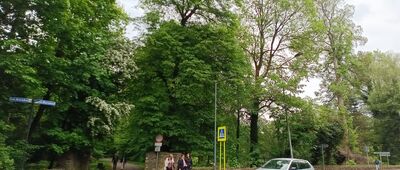 Pszczyna, ul. Żorska