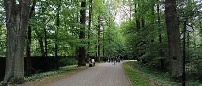 Pszczyna, rozejście przy zagrodzie żubrów