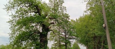 Wisła Mała ↔ Łąka