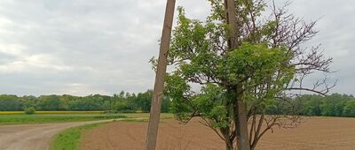 Wisła Mała ↔ Łąka