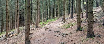Rozejście szlaków ↔ Pod Ostrą Małą