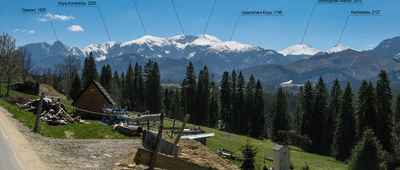 Witów, skrzyżowanie ↔ Butorów [Widok na Giewont i Czerwone Wierchy.]